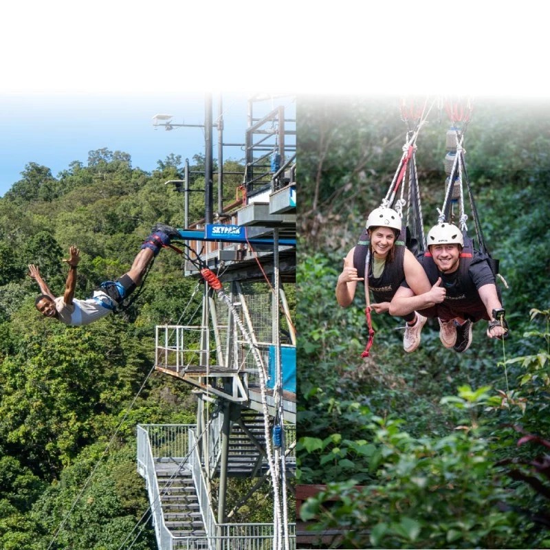 Five hundred dollars